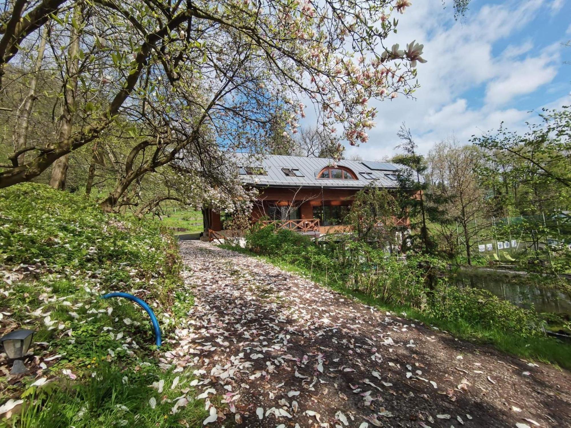 Ekosamotnia Guest house