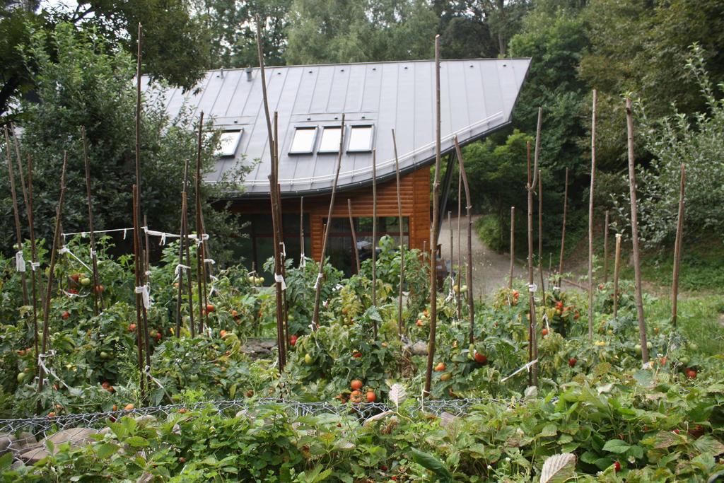 Guest house Ekosamotnia