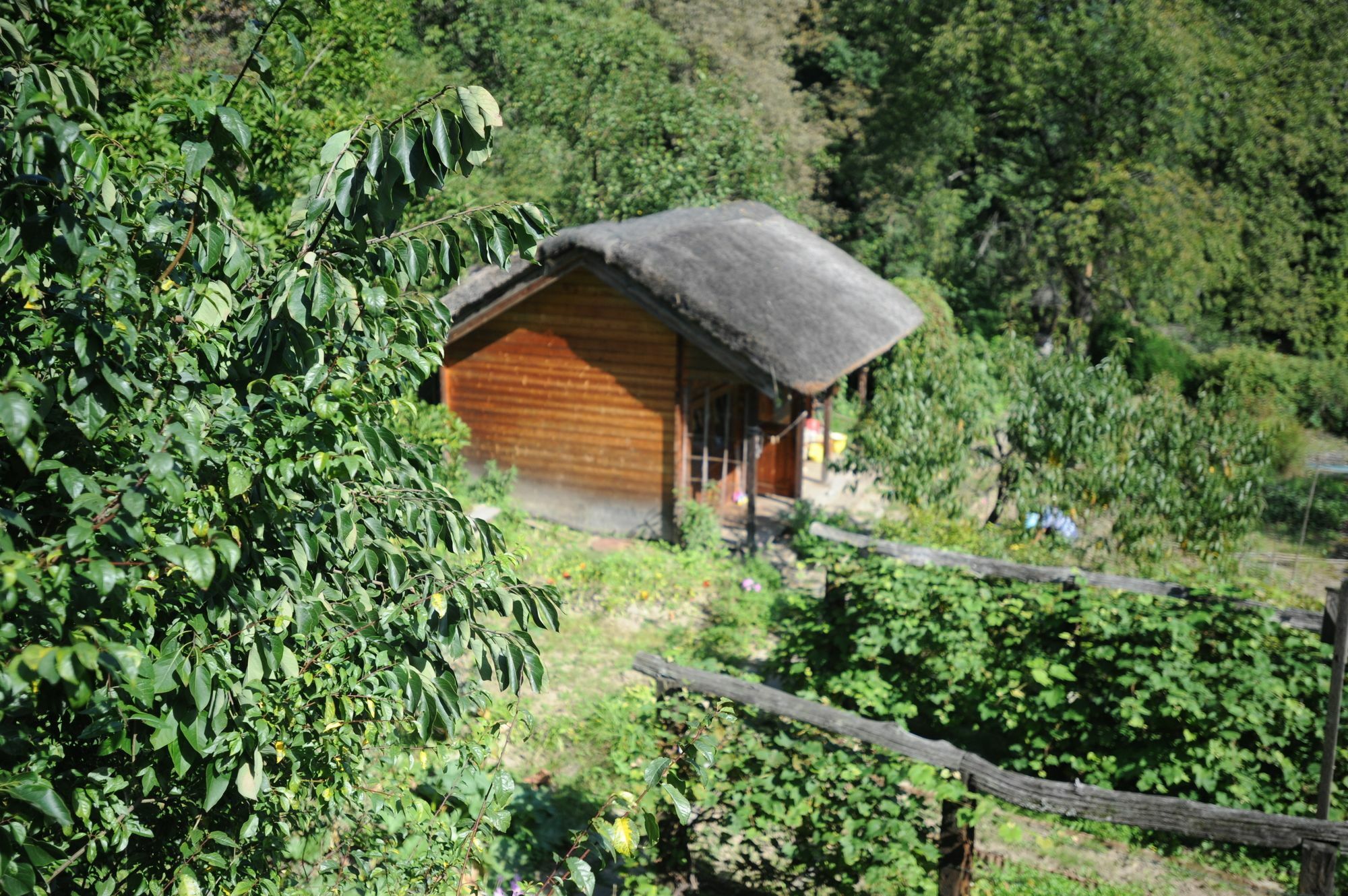 Ekosamotnia Guest house Krakow