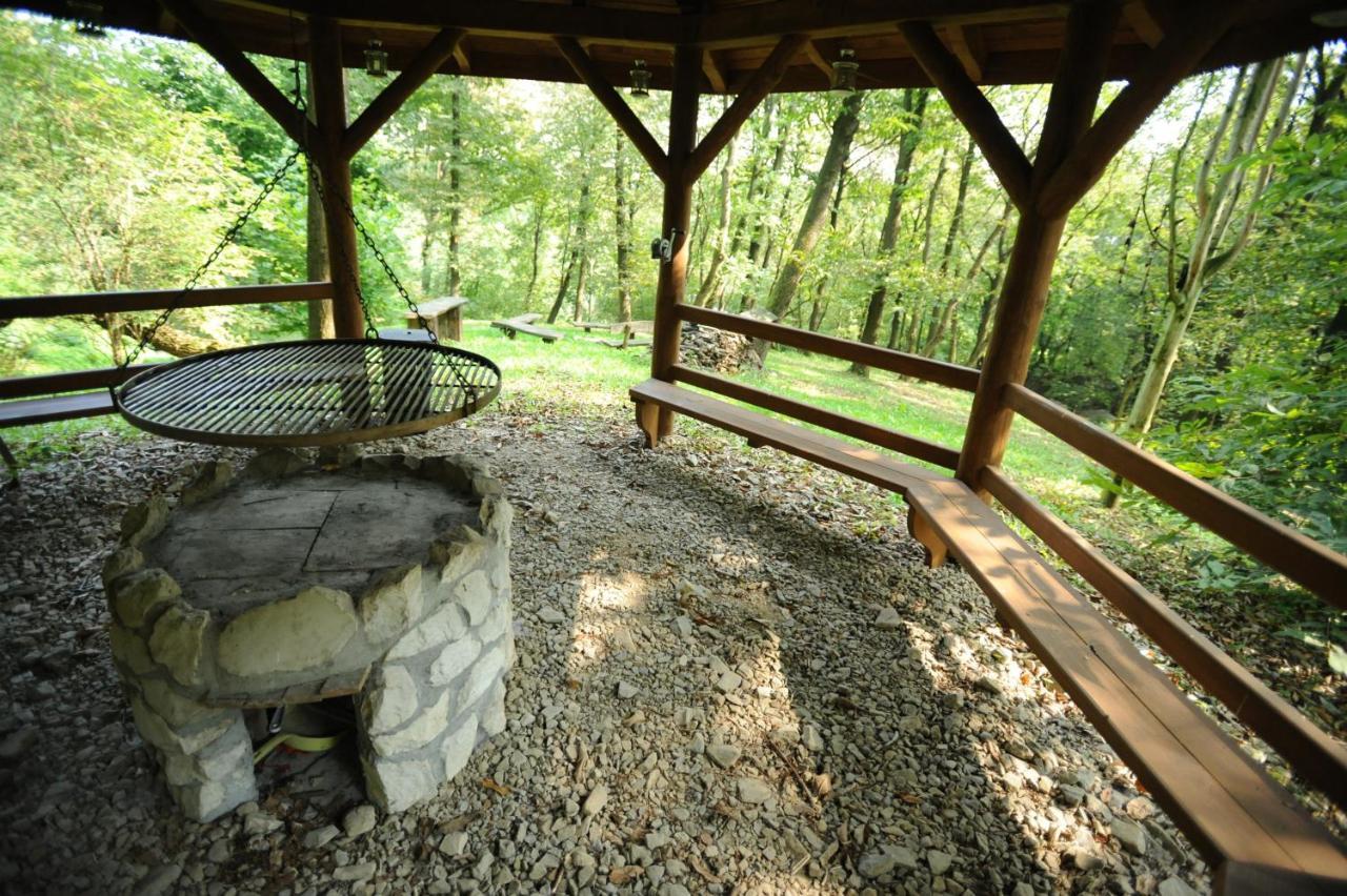 Guest house Ekosamotnia 4*
